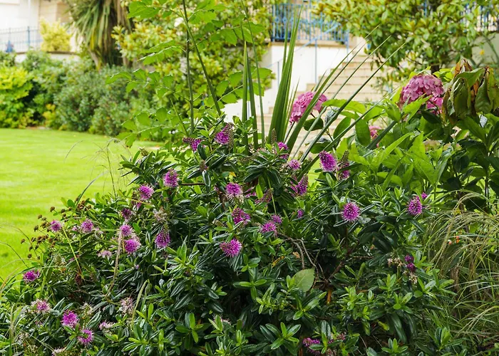 De France (adults Only) Ξενοδοχείο Saint Helier Jersey